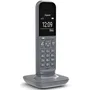 Gigaset CL390 Pack DUO Teléfono Inalámbrico Analógico con Pantalla Grande, Monitor de Bebé, Agenda 150 Contactos, Color Gris